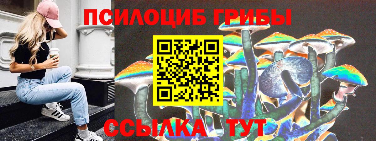 Заводоуковск  Псилоцибиновые грибы мухоморы  Вход с VPN  Псилоцибиновые грибы прущие грибы 