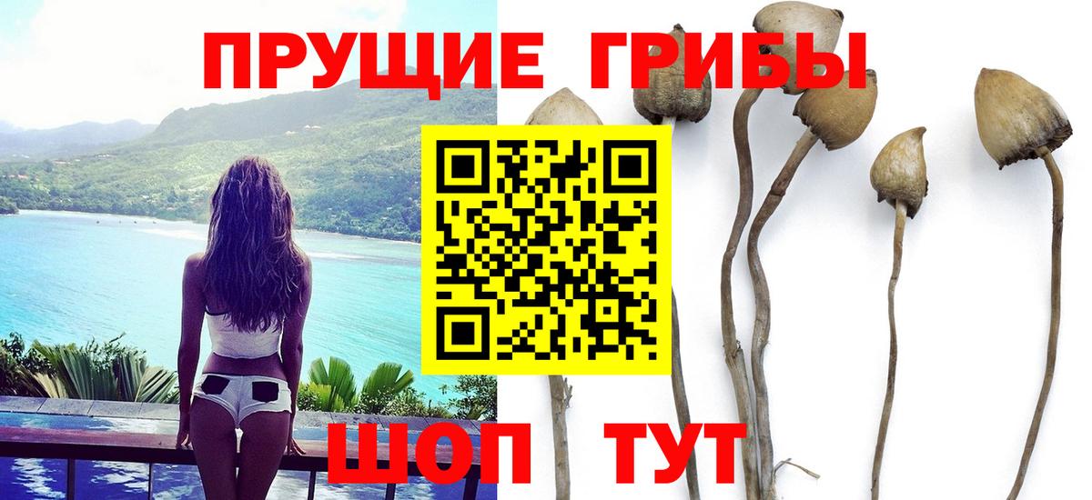 Псилоцибиновые грибы ЛСД Заводоуковск