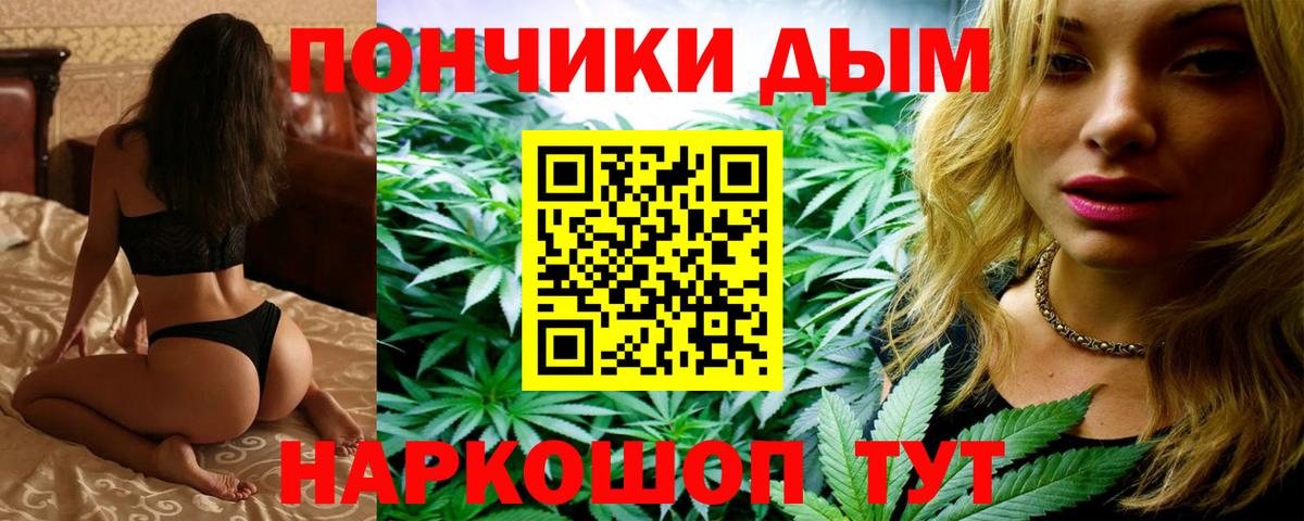 МЕФ Заводоуковск